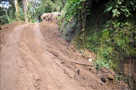 Sendero Los Quetzales